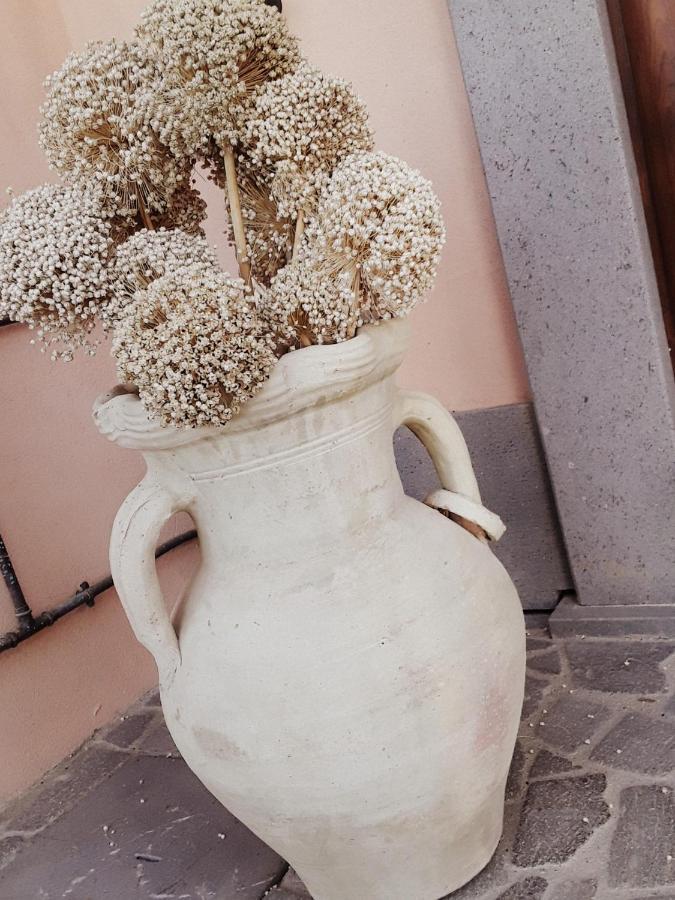 Porano B&B La Lumachella المظهر الخارجي الصورة